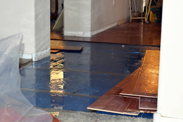 Professional Burst Pipe Cleanup technician working in Hutchinson, KS